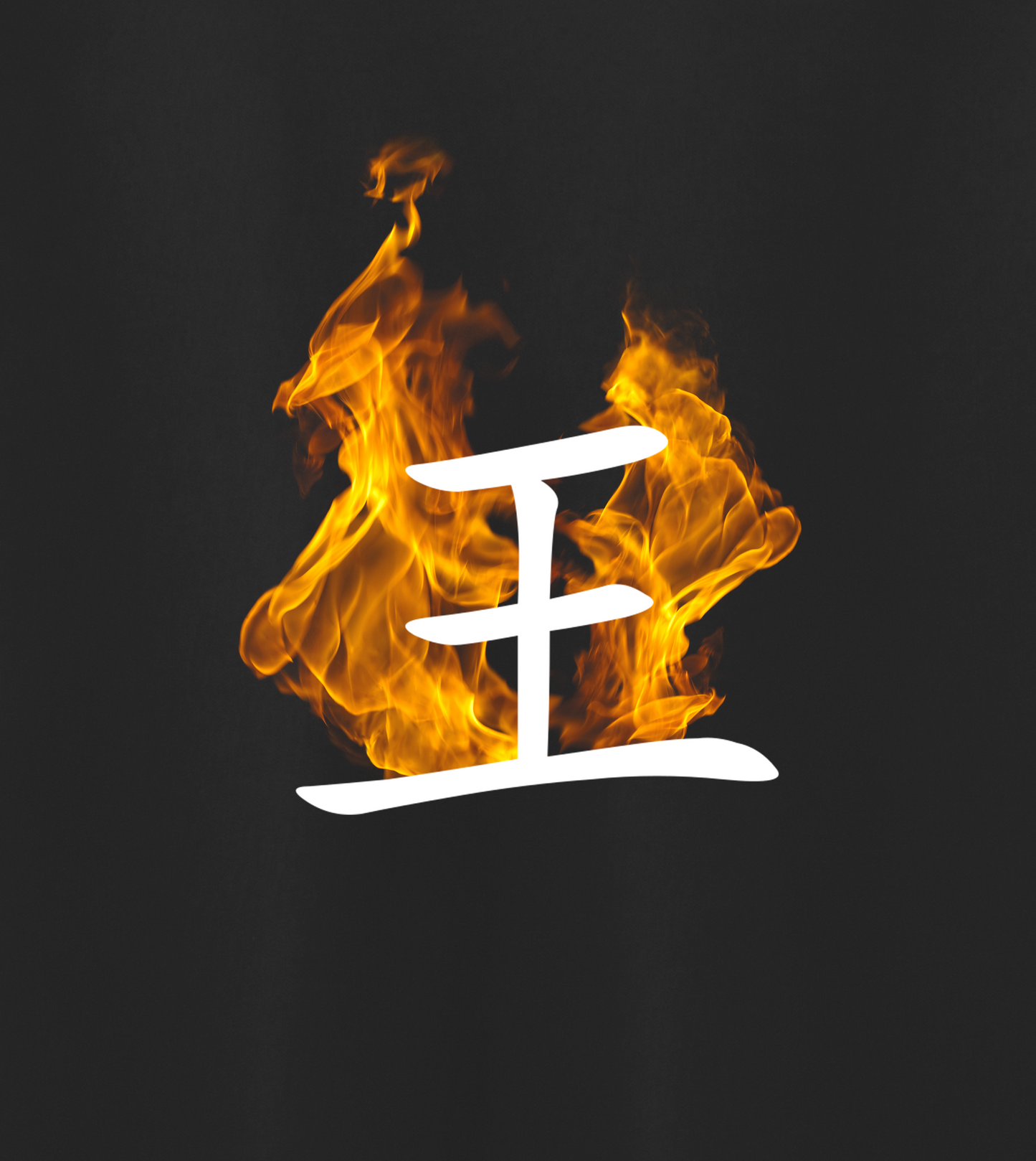 Fire Logo Hoodie